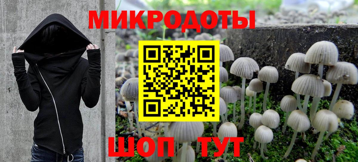 Галлюциногенные грибы мухоморы Артёмовский